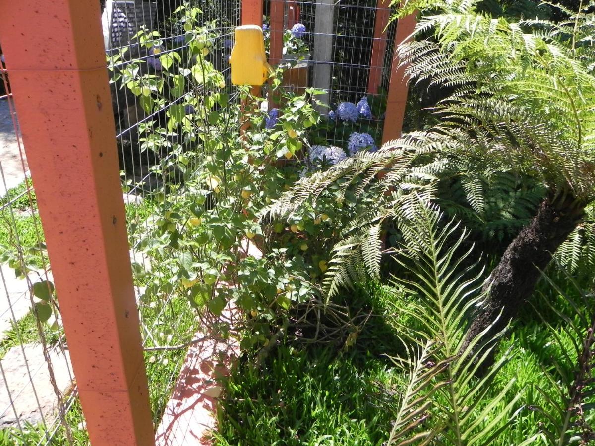 V Do Negro Apartment Gramado